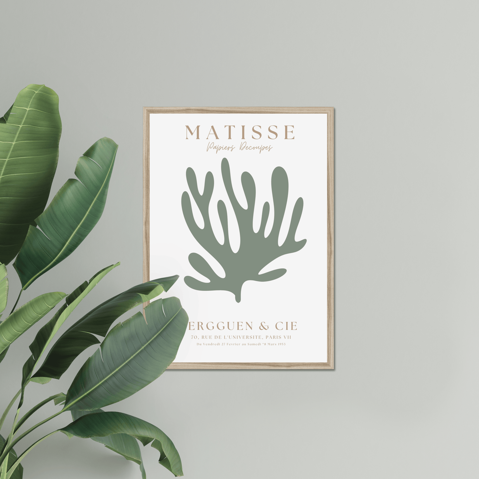 Matisse Sage Green IIa Rear Matisse Sage Green IIa